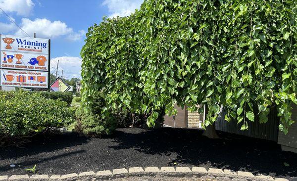 Schmidty’s Landscaping