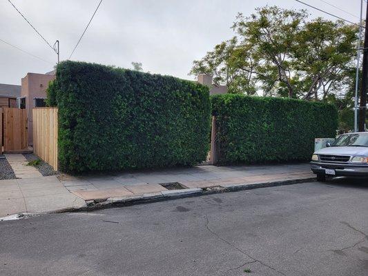 Landscape Martin Lopez