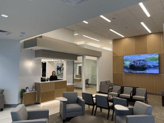 Andre Bruni - Pearl Dental Group