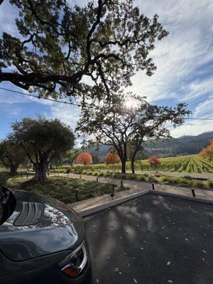 Perata Luxury Tours Napa & Sonoma