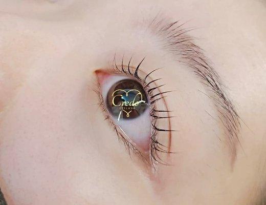 Lash Lifts