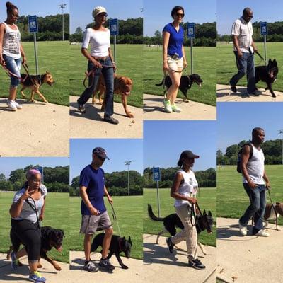 Atlanta K9 Solutions