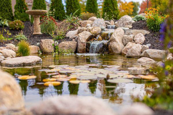 Waterfall Pond