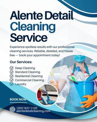Alente Detail Cleaning Services