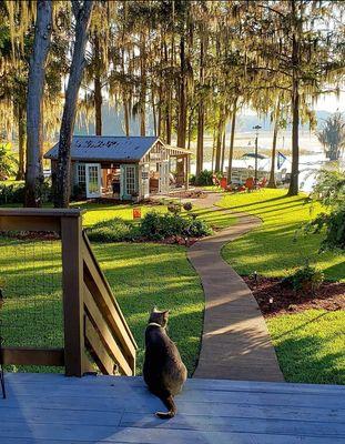 Litle's Cement Finishing