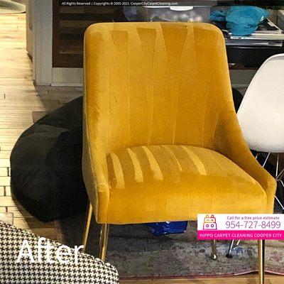 Hippo Carpet Cleaning