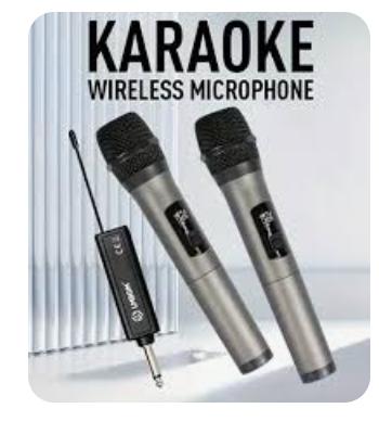 mics for music