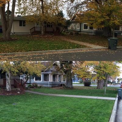 Evergreen Coast Lawn Care