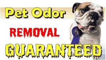 Best Solution Carpet Care Inc