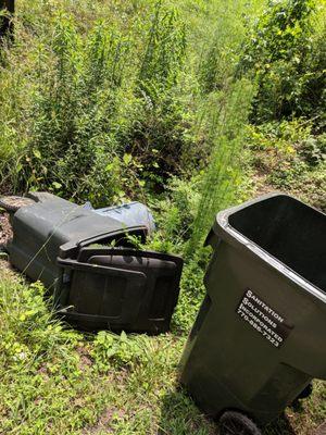 Had SSI for 3 years and this is what I come to Everyday when I get home if they pick my trash up on time...SMH @customer service.