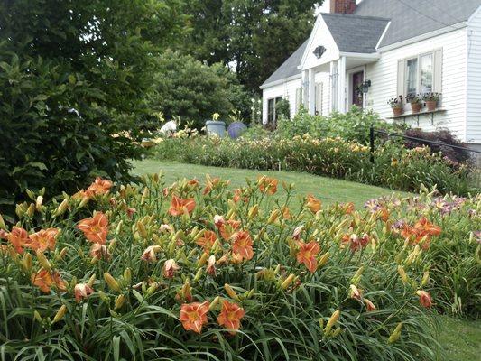 DAYLILY GARDENS & ANTIQUES !