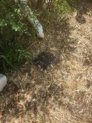 Venyscapes Landscaping Company