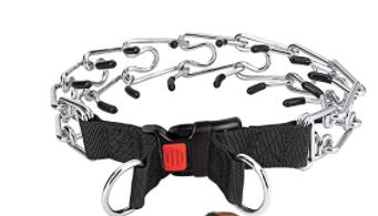 Example - of the prong collar we were advised to use.