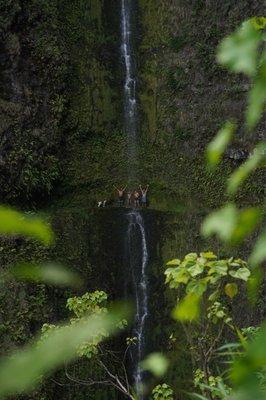 Explore Hawai'i like a local and learn some pigeon.. like "Holoholo"