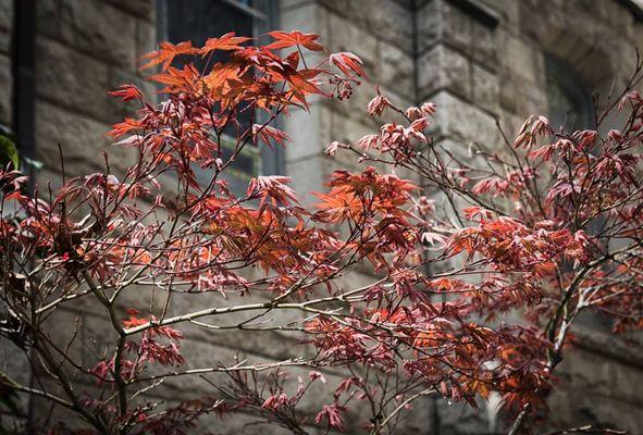 St Paul's Episcopal Church