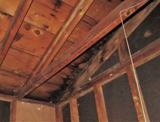 Battaglia Home Inspections