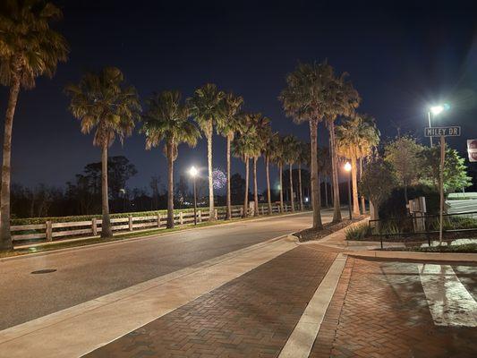 Disney Fireworks from parking lot