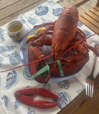 Nauset Fish & Lobster Pool