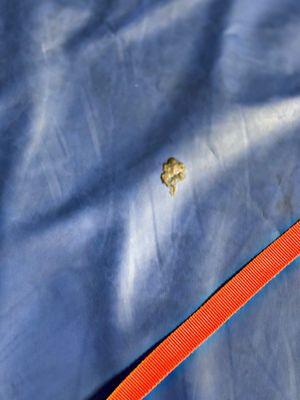 Sky Zone Trampoline Park