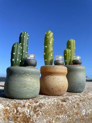 Glass Chamber Jensen Beach