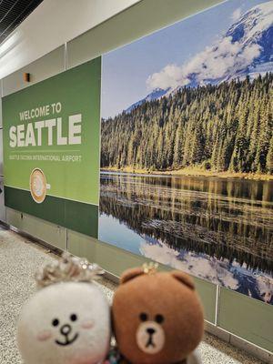 Seattle-Tacoma International Airport - SEA