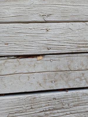 Desert Oasis Apartments