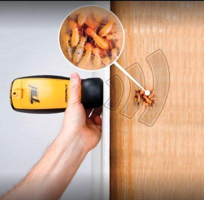 Termite Control, Pest Control Bug Control , Roach Control