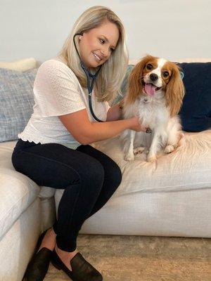 Pet Care Professionals