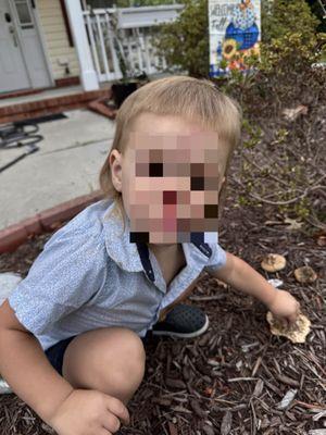 Sharkey's Cuts for Kids