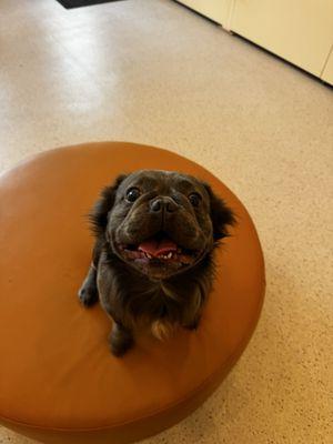 Casio happy in the lobby!