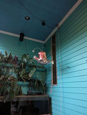 The Aquarium Gallery and Studios