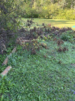Clear Cut Junk Removal