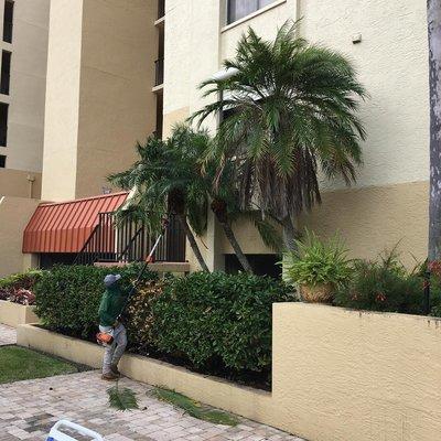 Green Leaf Lawn Services