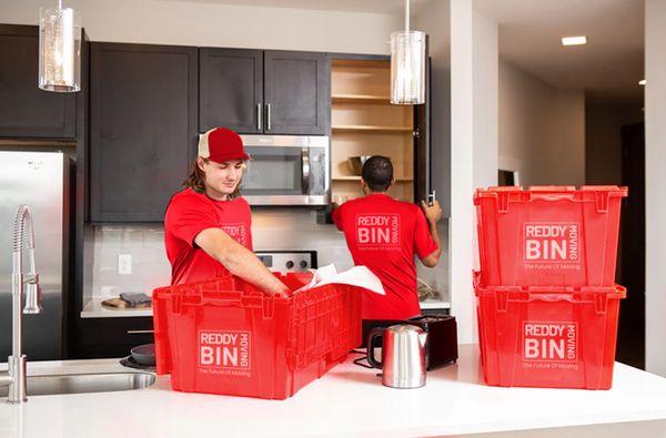 No Body Packs Like Reddy Bin!