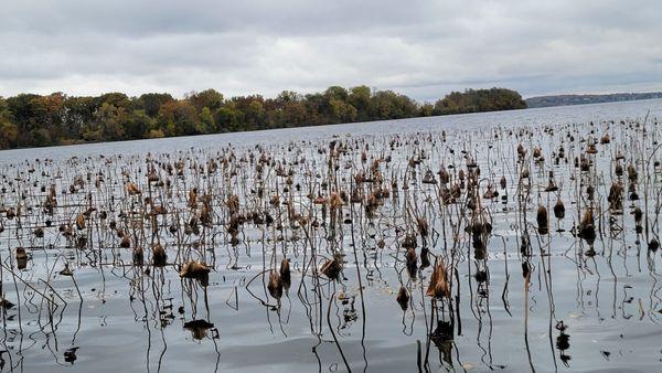 UW-Madison Lakeshore Nature Preserve