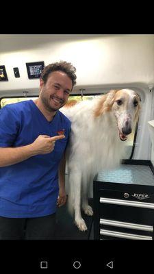 Aussie Pet Mobile of Ventura County