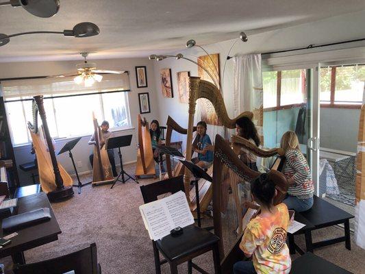 Kaffee's Music Studio, Harp lesson, music for events