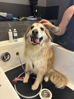 A super happy customer!