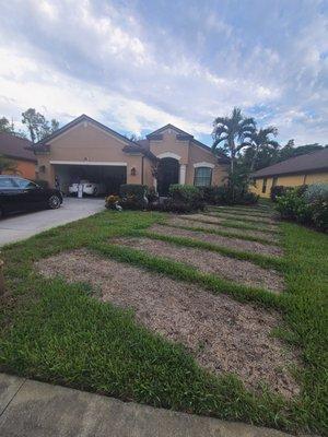 Efficient Home Services