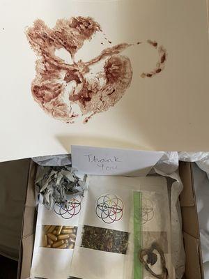 HEALthy Self Academy