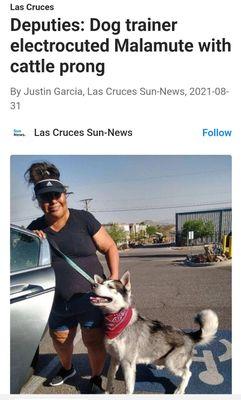 April's K911 Academy