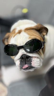 MVP Rehabilitation and Integrative services