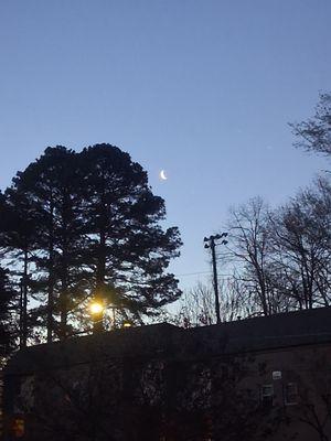 Haus of Lily Virgeaux