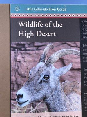 Little Colorado Scenic Overlook