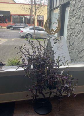 View from waiting room