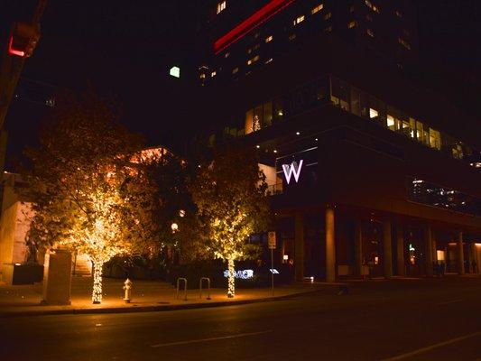 Decorative holiday lights commercial installation