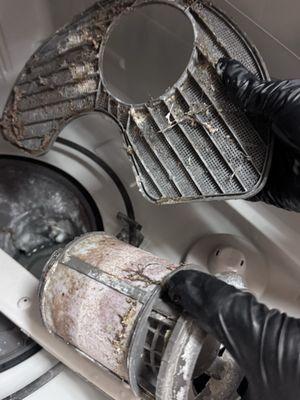 Elite Deep Cleaning Crew