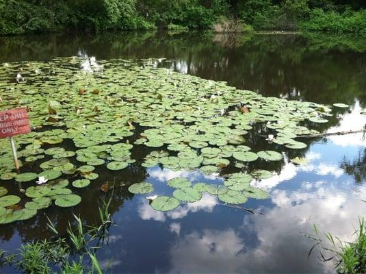 Lots of ponds and sloughs in the area. Plenty of recreation available.
