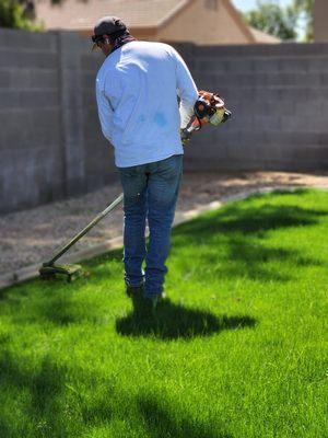 Catalina Landscaping