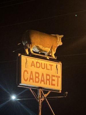 You must stop by at the cow's sign